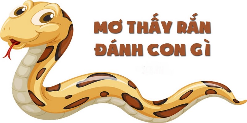 Gợi ý con số may mắn khi chiêm bao thấy rắn